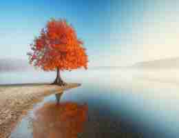 免​费​网​络‌爬﻿虫‌