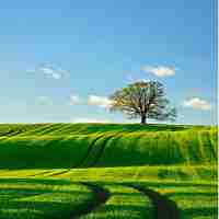 自‍动‍脚‍本​app破‍解‍版‌